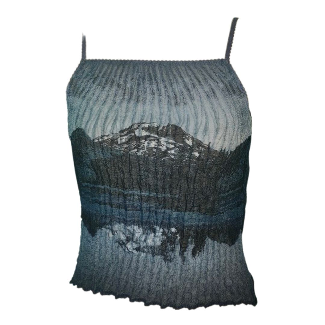 TOP I don't have the make and model
